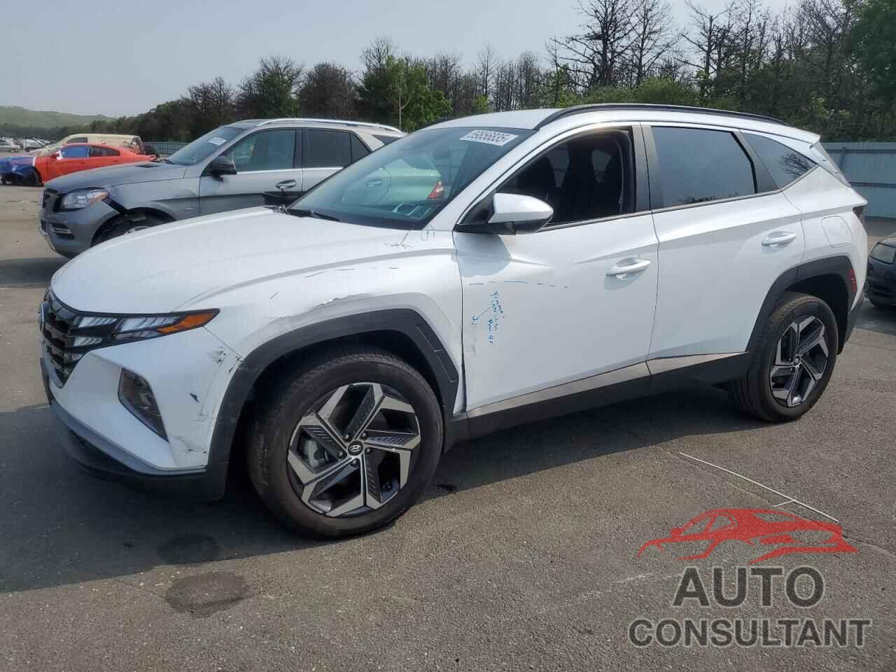HYUNDAI TUCSON 2024 - KM8JBDD24RU167660