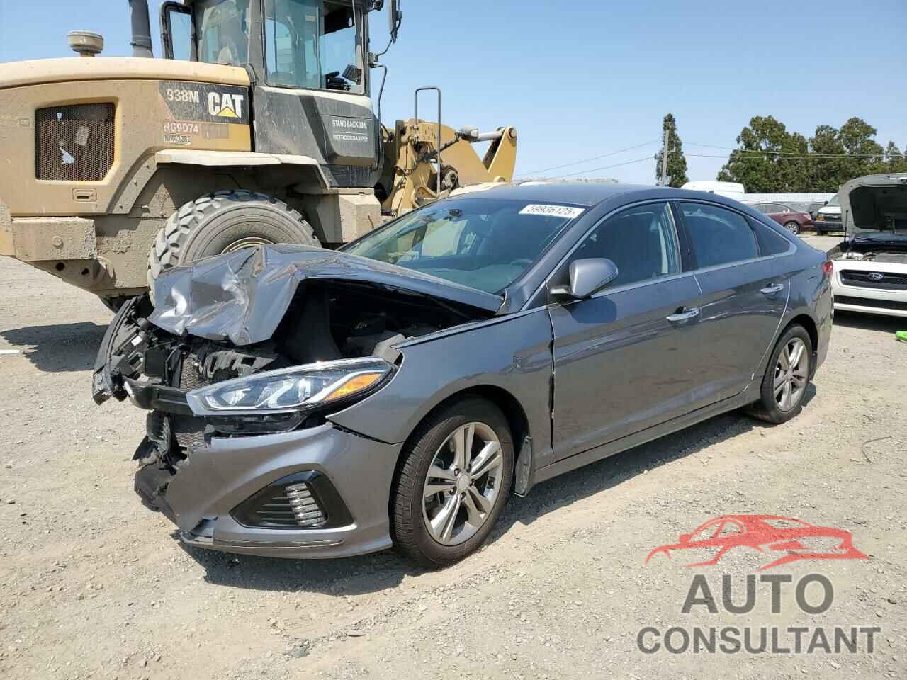 HYUNDAI SONATA 2019 - 5NPE34AFXKH800656