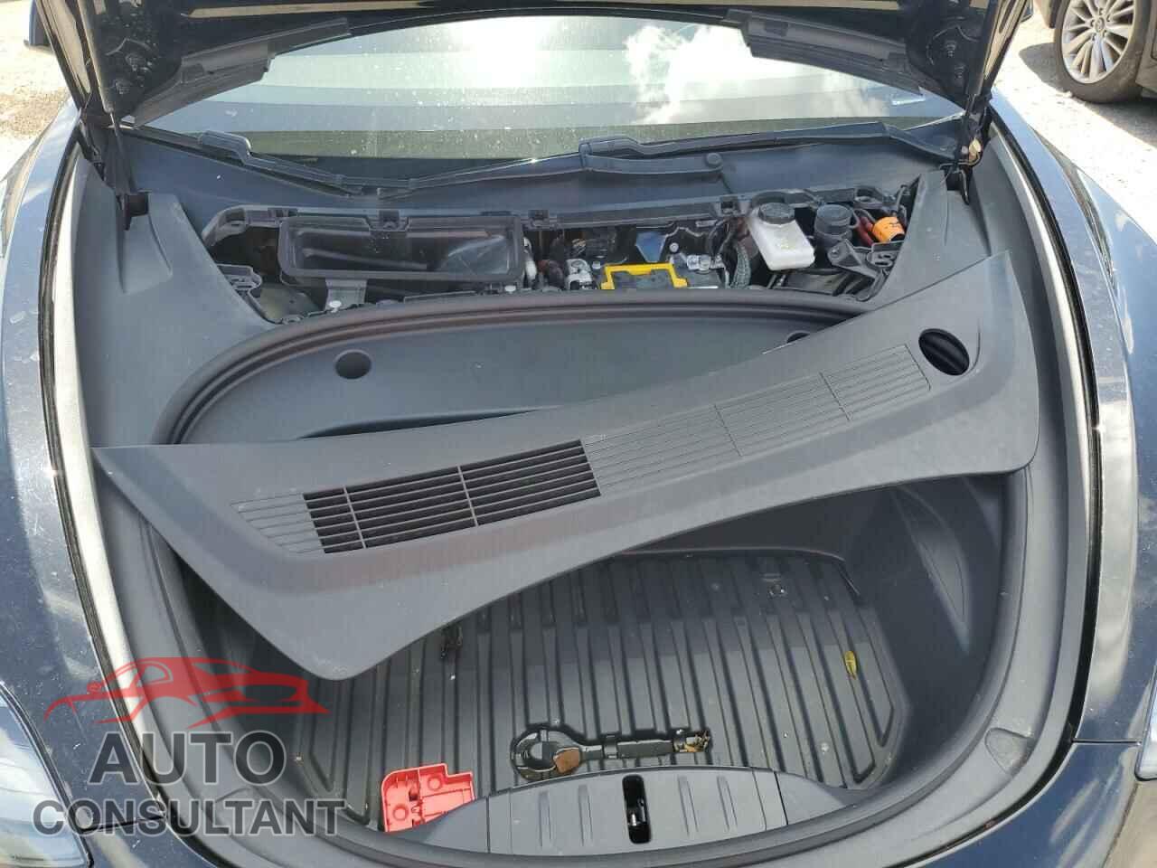 TESLA MODEL 3 2021 - 5YJ3E1EA1MF061256