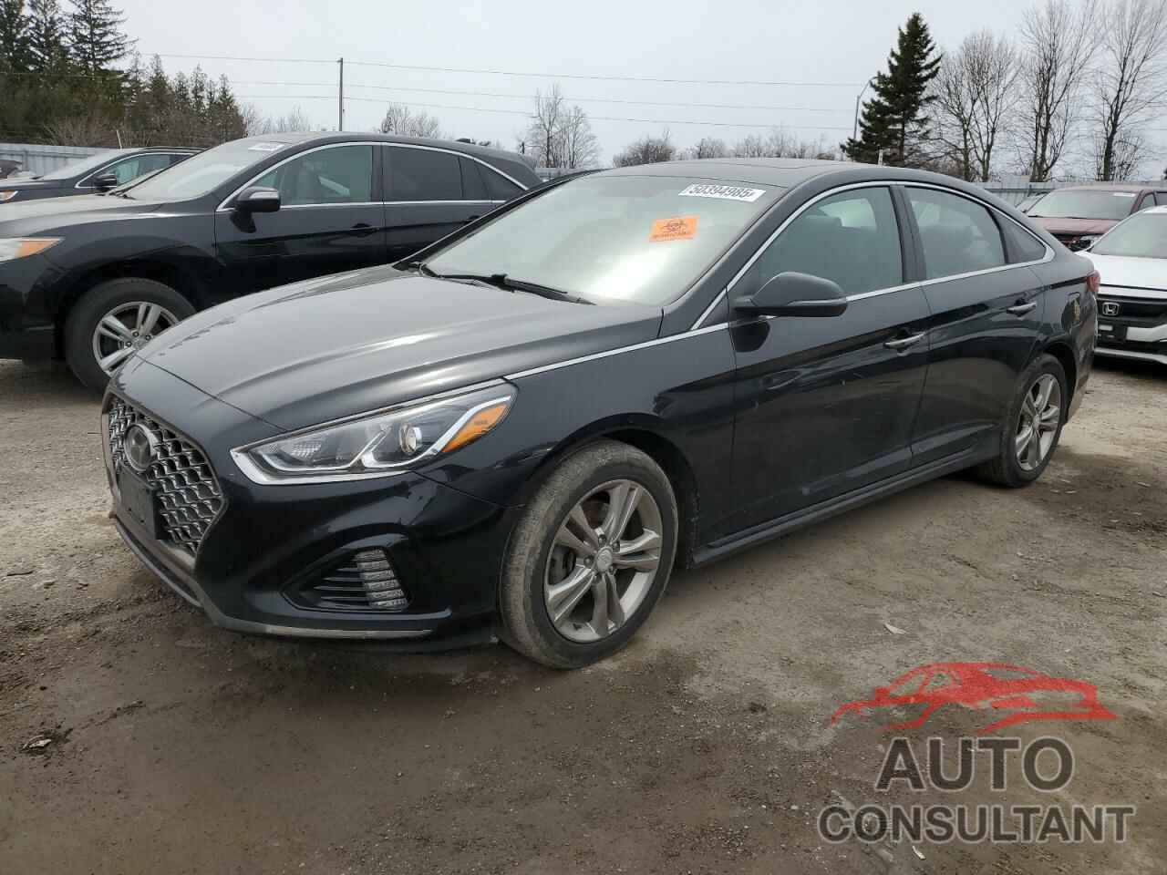 HYUNDAI SONATA 2019 - 5NPE34AF9KH785065