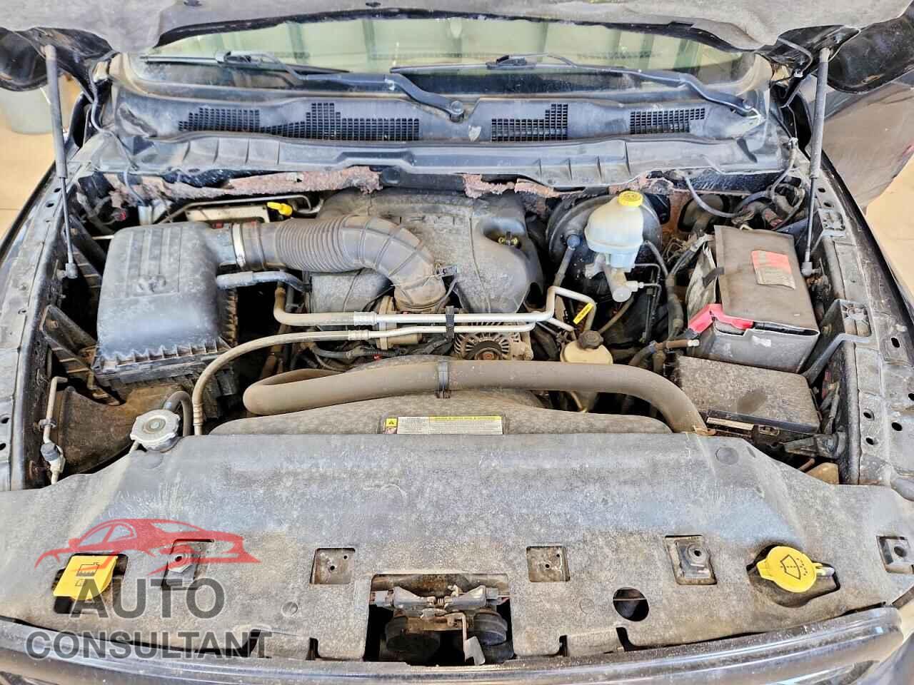 DODGE RAM 1500 2010 - 1D7RV1GT3AS243375