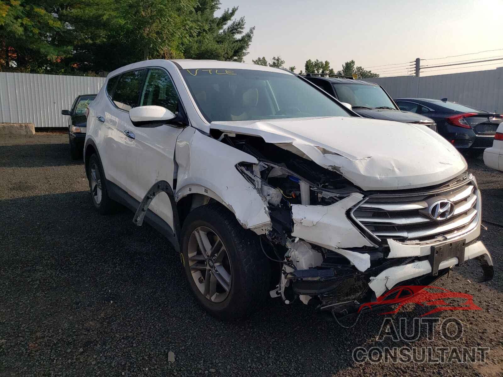 HYUNDAI SANTA FE 2017 - 5NMZTDLB9HH000660