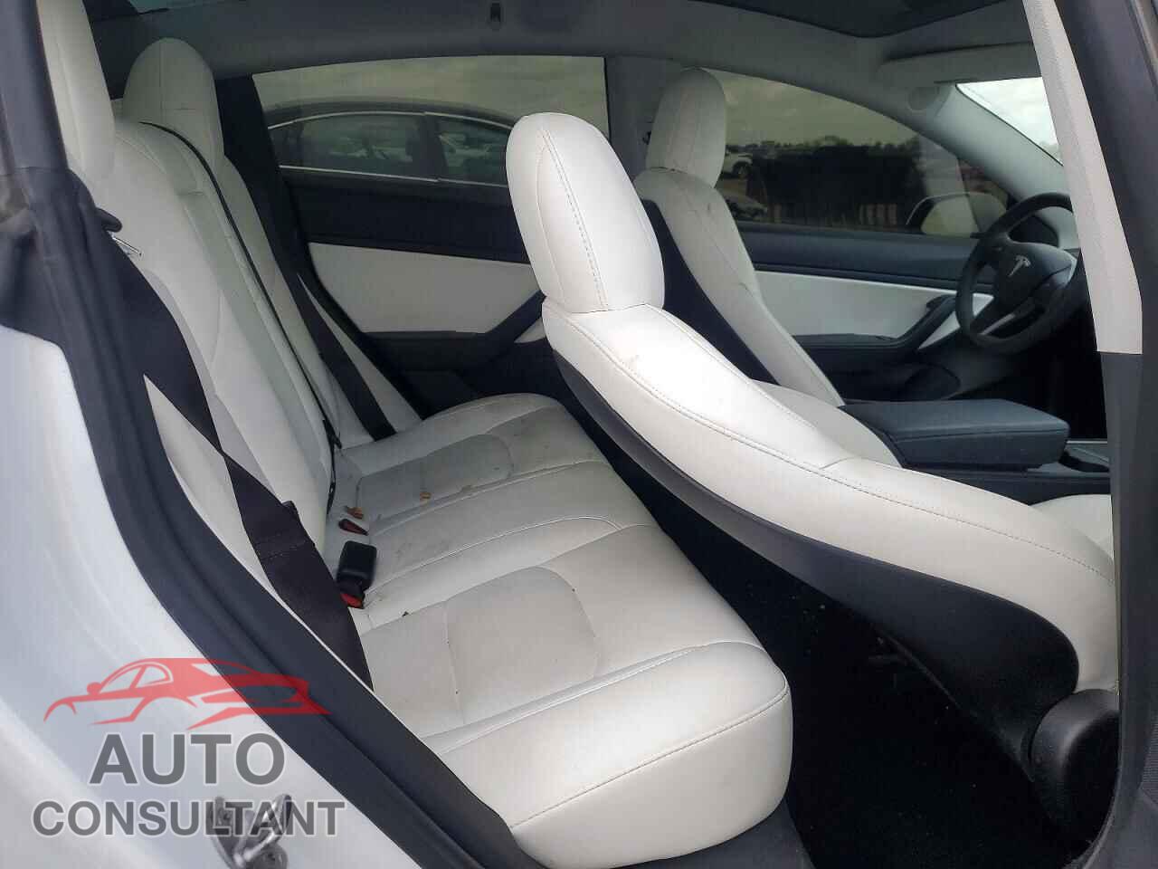 TESLA MODEL 3 2021 - 5YJ3E1EA1MF921804