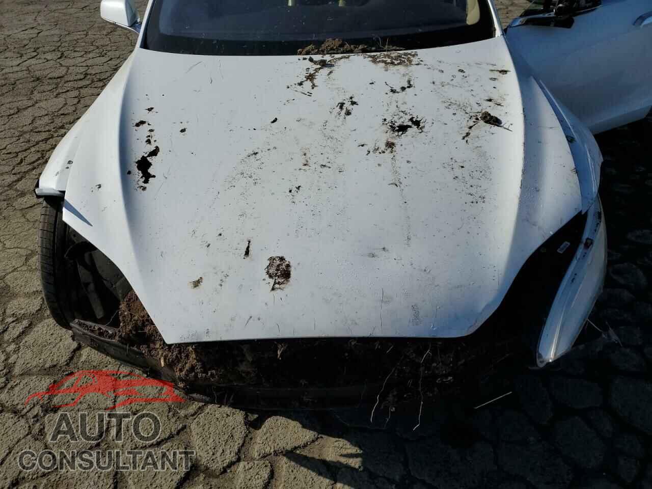 TESLA MODEL S 2013 - 5YJSA1DG3DFP04896