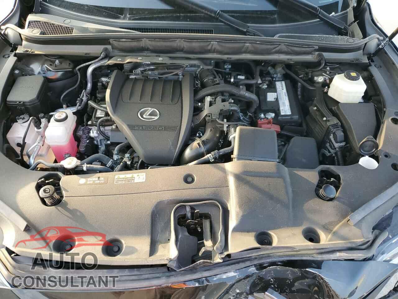 LEXUS RX350 2023 - 2T2BAMBA8PC007406