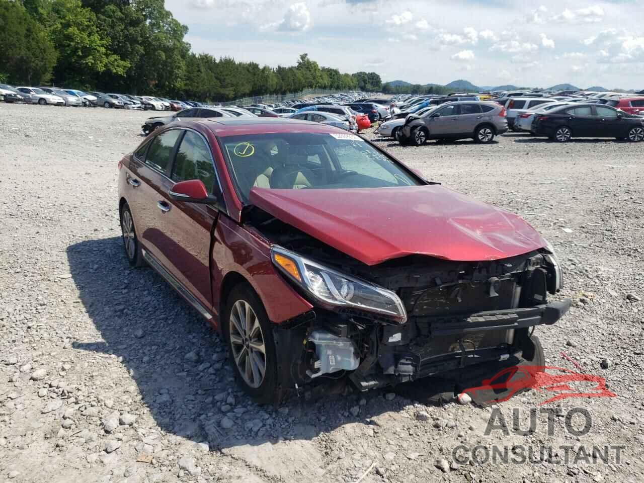 HYUNDAI SONATA 2016 - 5NPE34AF1GH410570