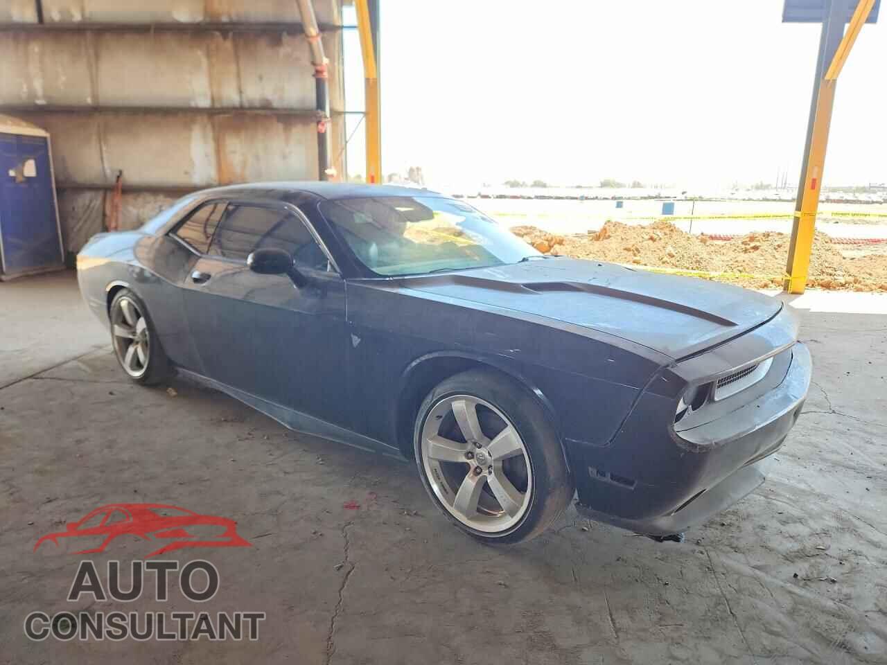 DODGE CHALLENGER 2013 - 2C3CDYAG7DH501050