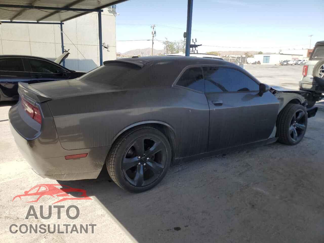 DODGE CHALLENGER 2014 - 2C3CDYBT3EH137478