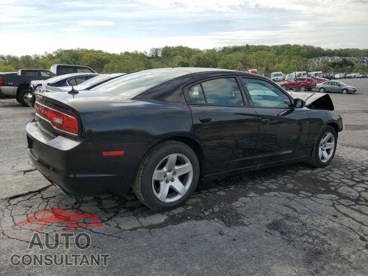 DODGE CHARGER 2013 - 2C3CDXAT7DH592408