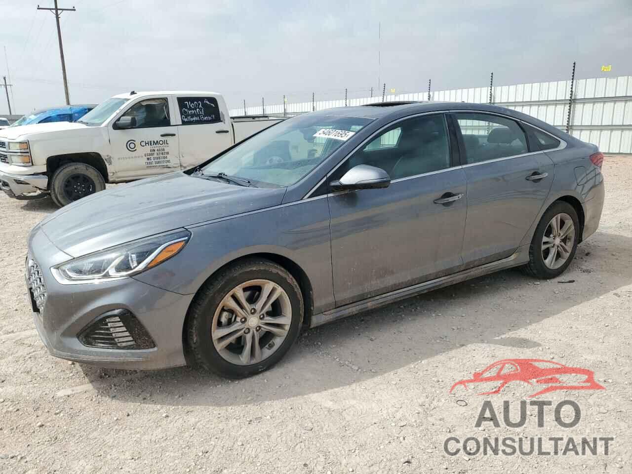 HYUNDAI SONATA 2019 - 5NPE34AF4KH808137
