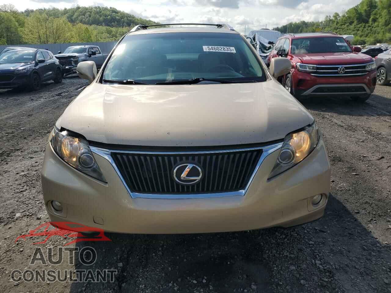 LEXUS RX350 2010 - 2T2BK1BA0AC005037