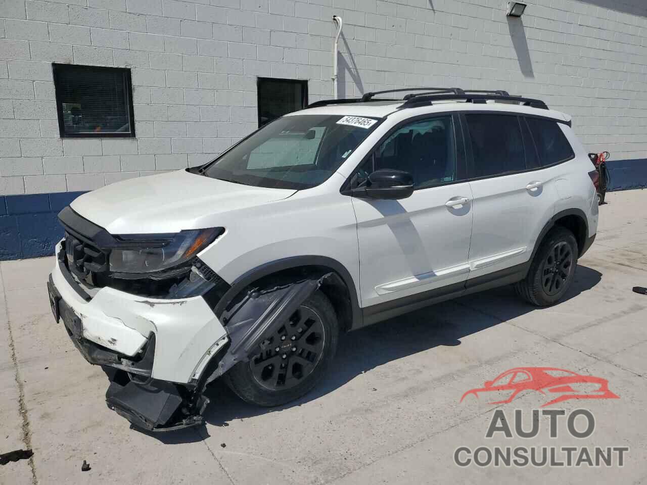 HONDA PASSPORT 2022 - 5FNYF8H65NB004885