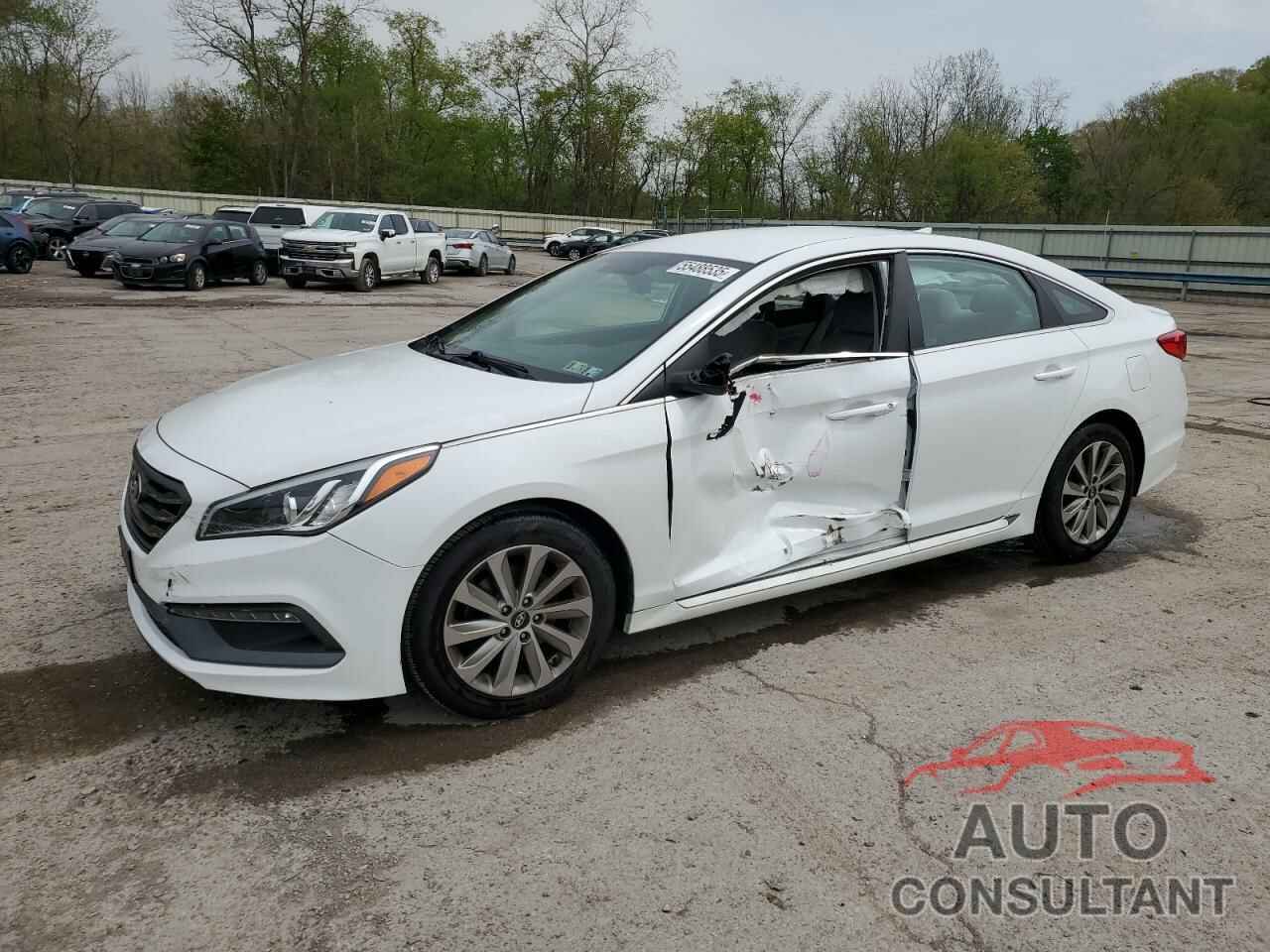 HYUNDAI SONATA 2016 - 5NPE34AF2GH407256