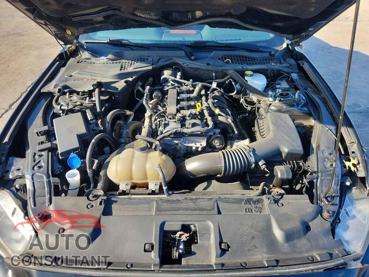FORD MUSTANG 2021 - 1FATP8UHXM5115310
