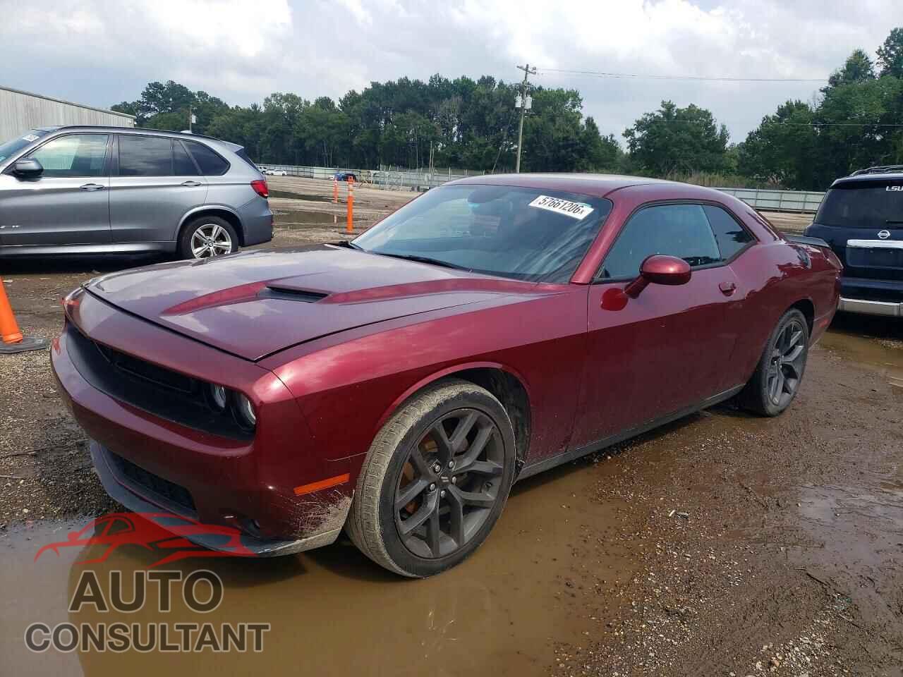DODGE CHALLENGER 2019 - 2C3CDZAG7KH691595