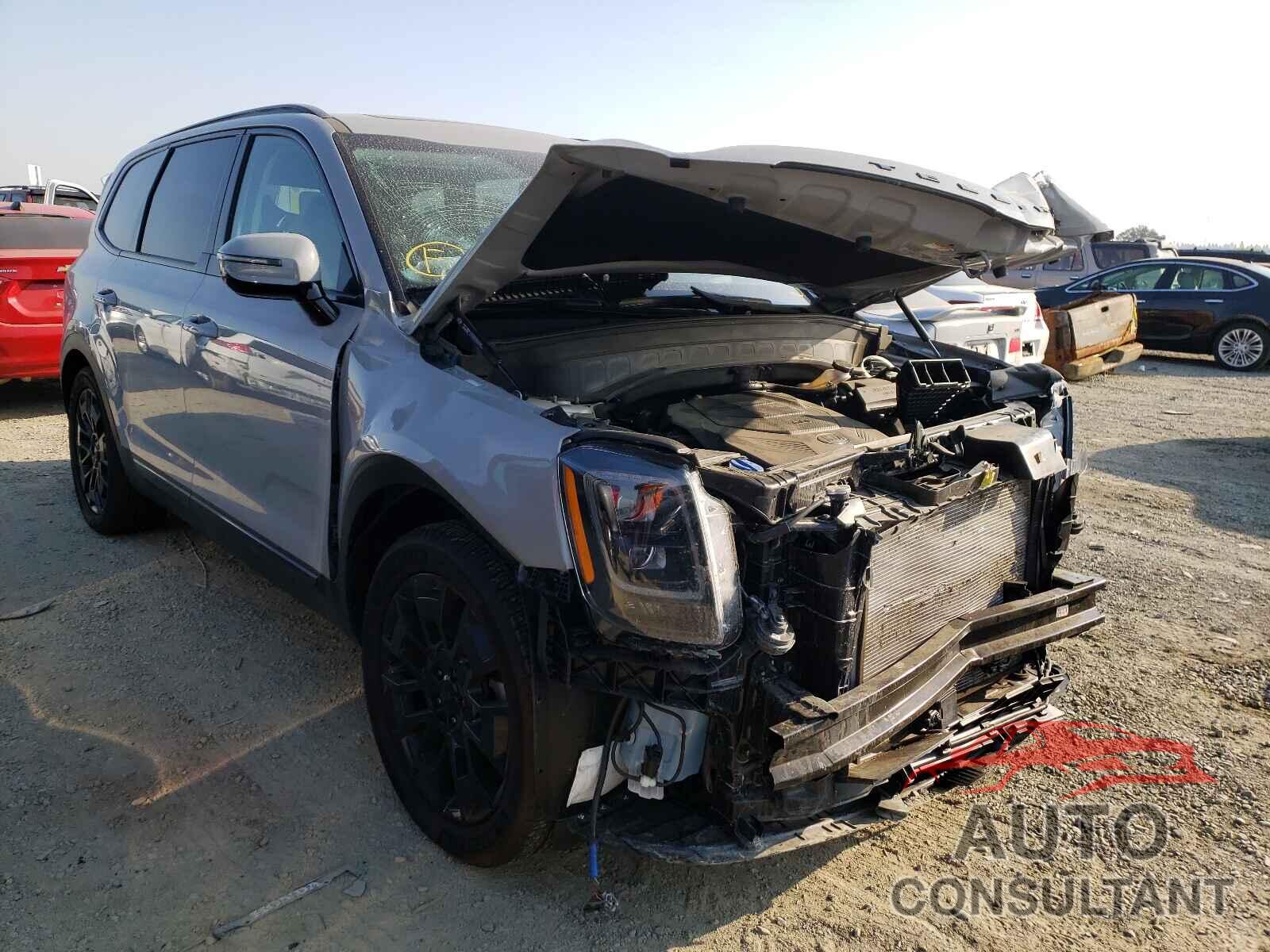 KIA TELLURIDE 2021 - 5XYP5DHC2MG123224