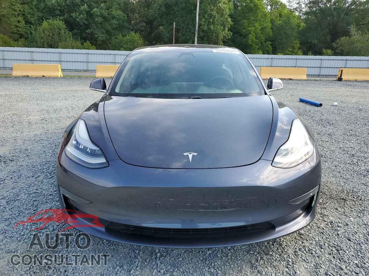 TESLA MODEL 3 2019 - 5YJ3E1EB2KF418501
