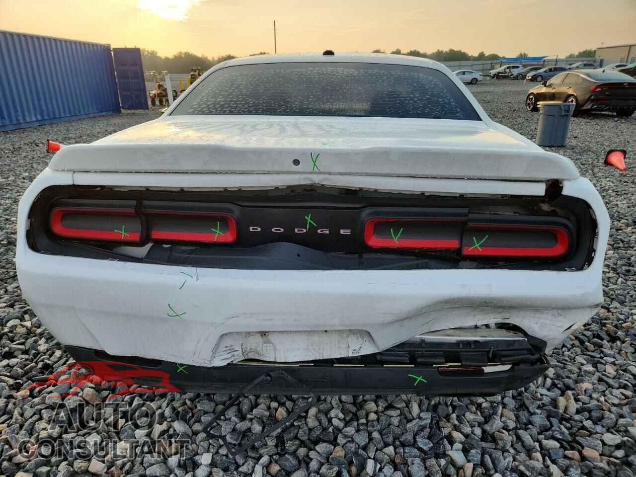 DODGE CHALLENGER 2019 - 2C3CDZBT9KH513294