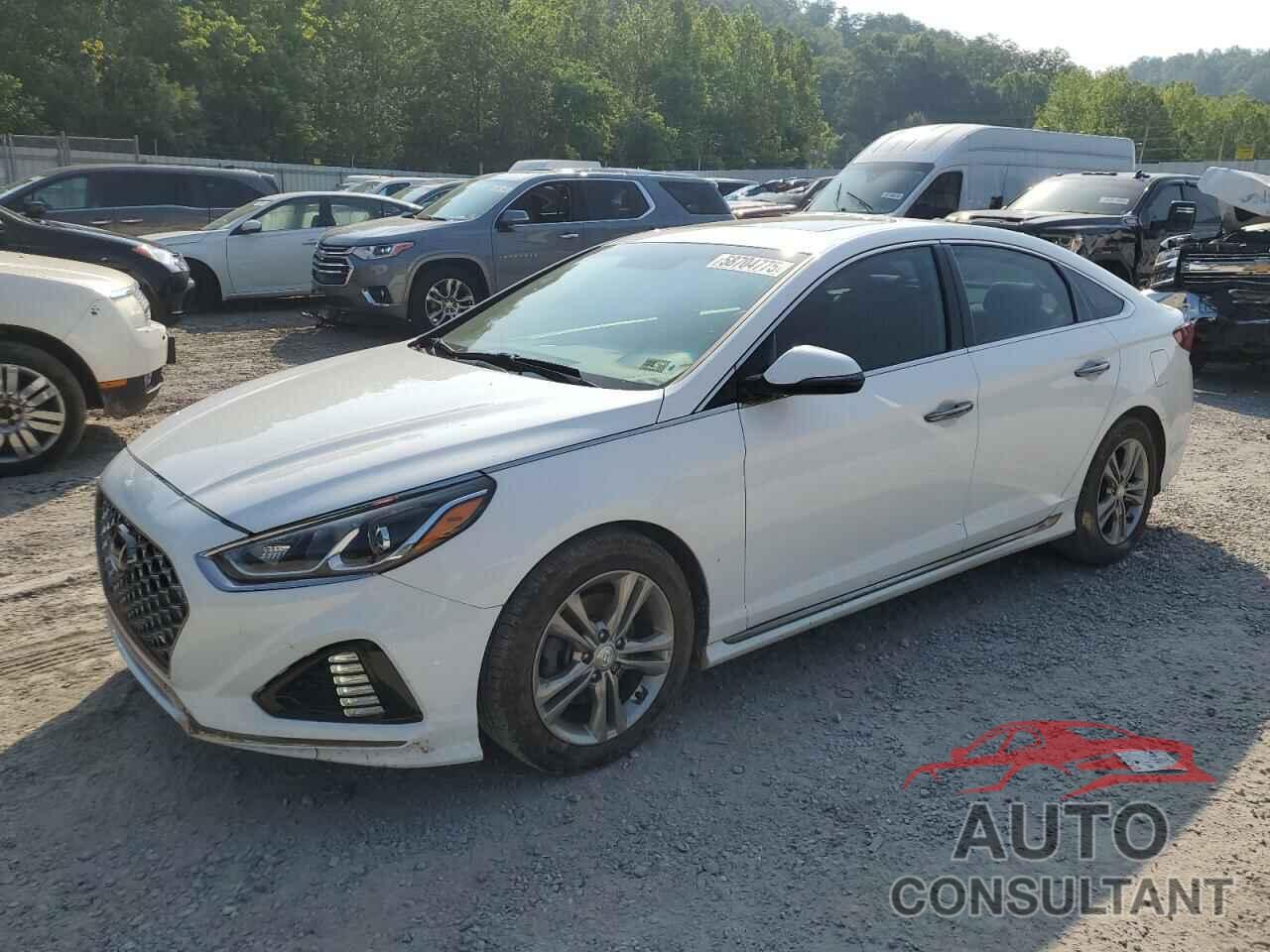 HYUNDAI SONATA 2018 - 5NPE34AF6JH603580