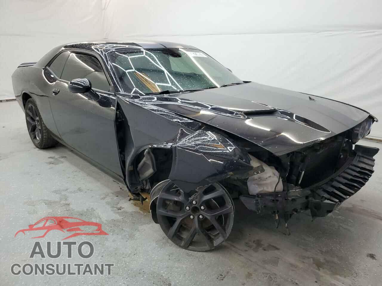 DODGE CHALLENGER 2019 - 2C3CDZAG9KH557431