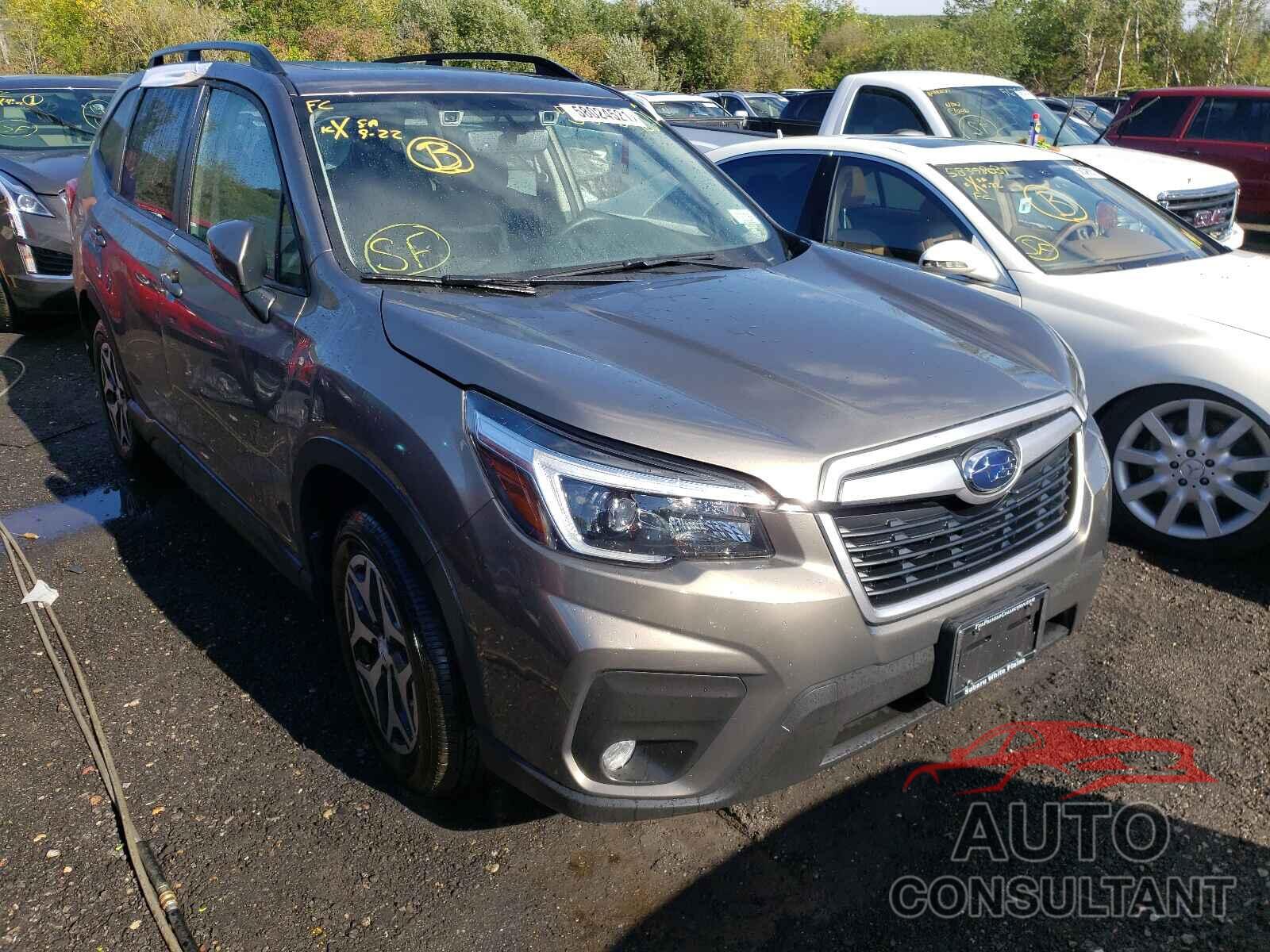 SUBARU FORESTER 2021 - JF2SKAFC6MH439304