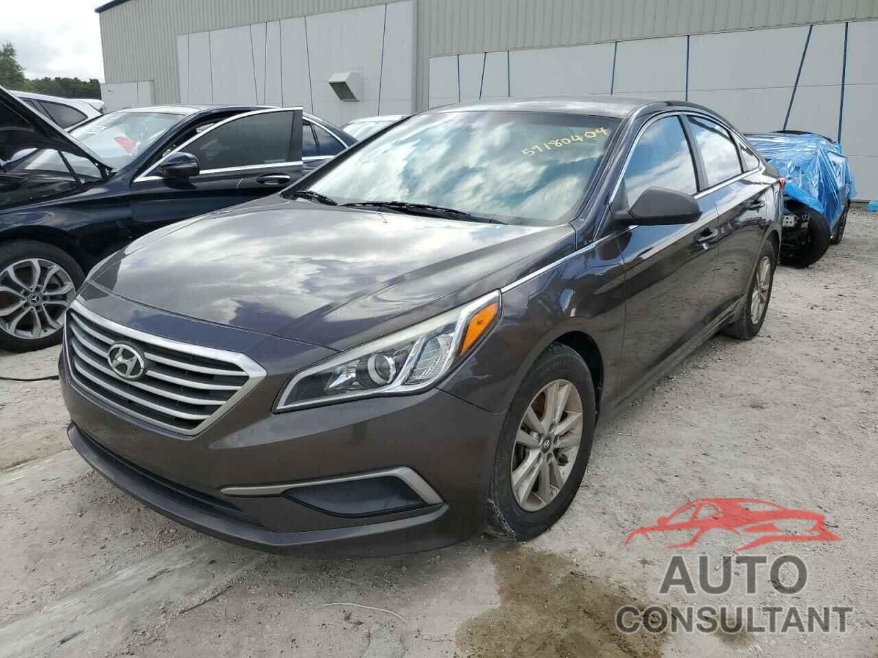 HYUNDAI SONATA 2016 - 5NPE24AF0GH344502