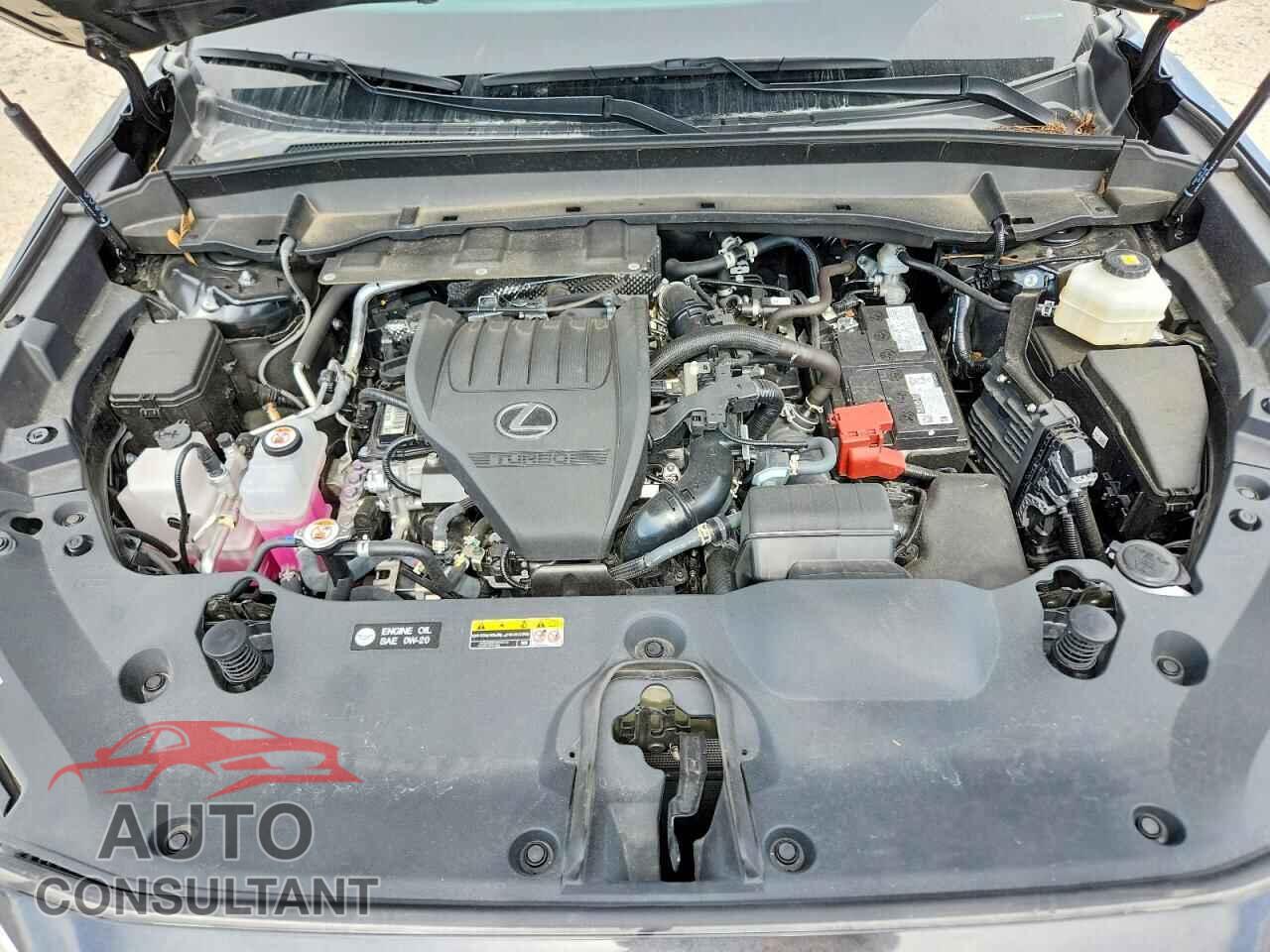 LEXUS UNKNOWN 2025 - 5TDAAAB64SS047640