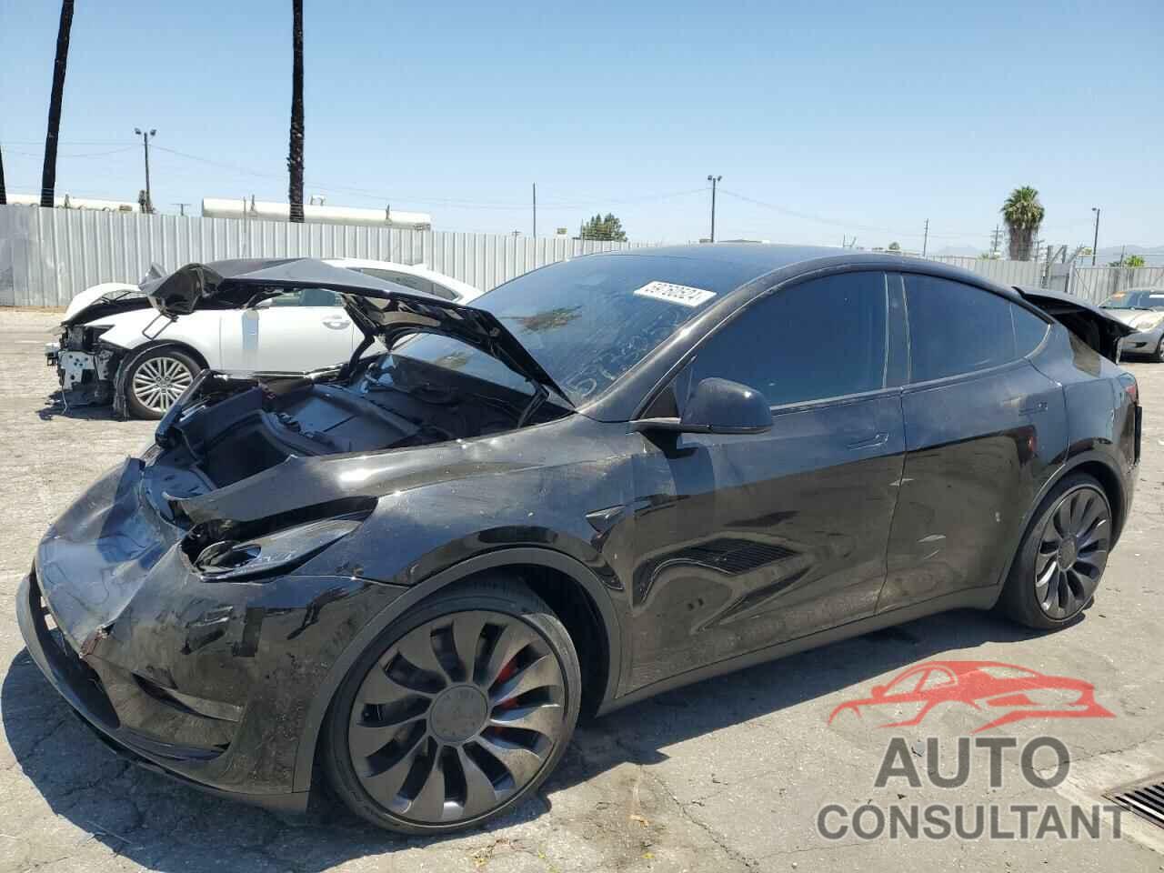 TESLA MODEL Y 2024 - 7SAYGDEF6RF081011