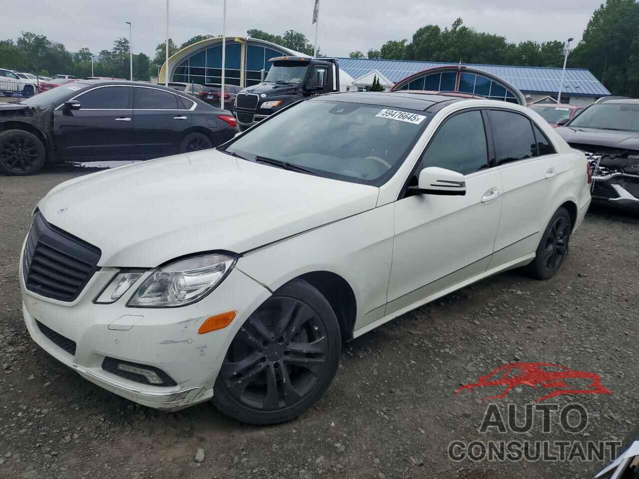 MERCEDES-BENZ E-CLASS 2010 - WDDHF8HB6AA239804