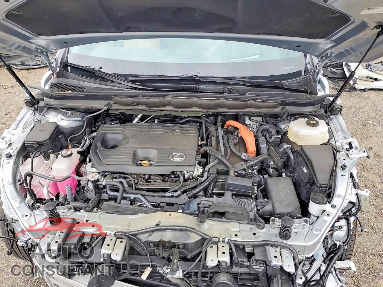 LEXUS UNKNOWN 2024 - 2T2BBMCA1RC031724