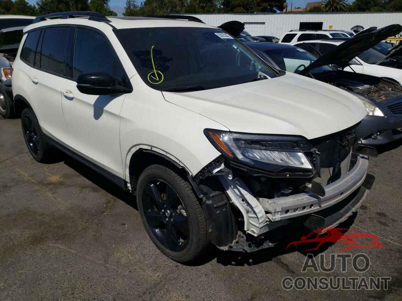 HONDA PASSPORT 2019 - 5FNYF8H04KB009602