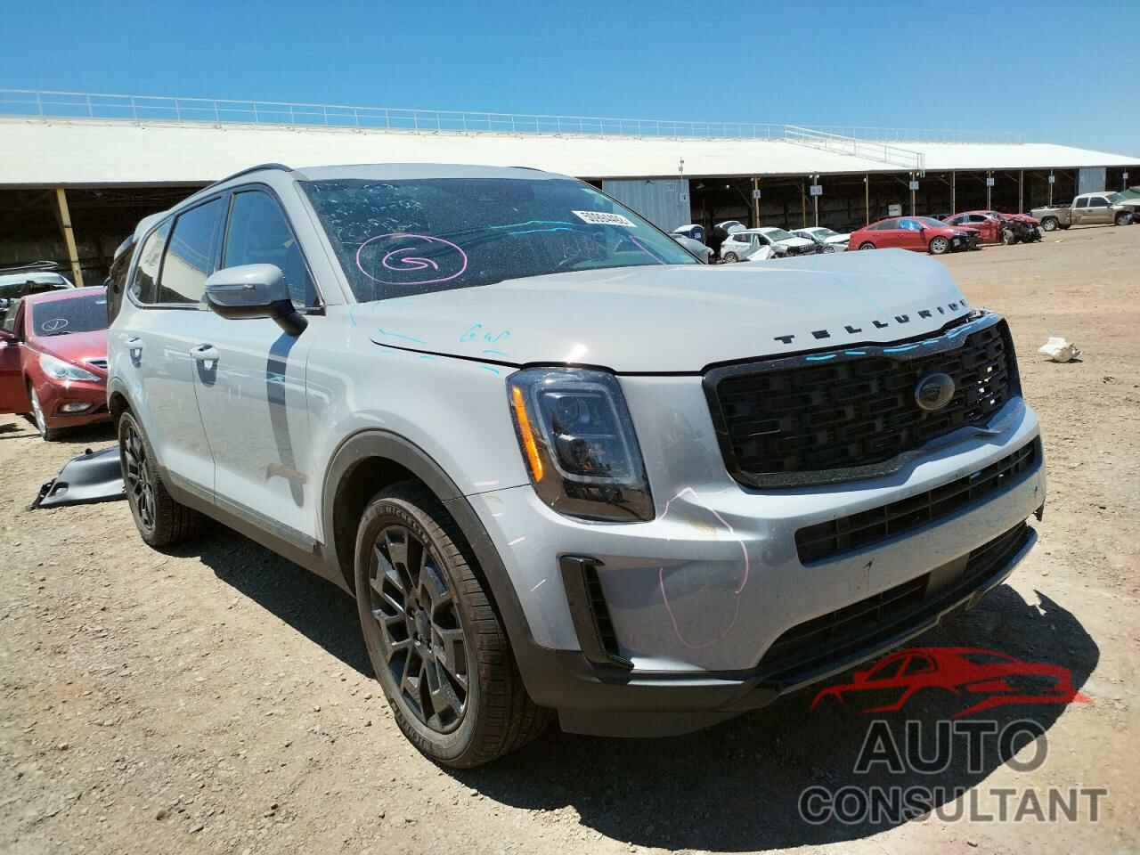 KIA TELLURIDE 2021 - 5XYP3DHC2MG159856