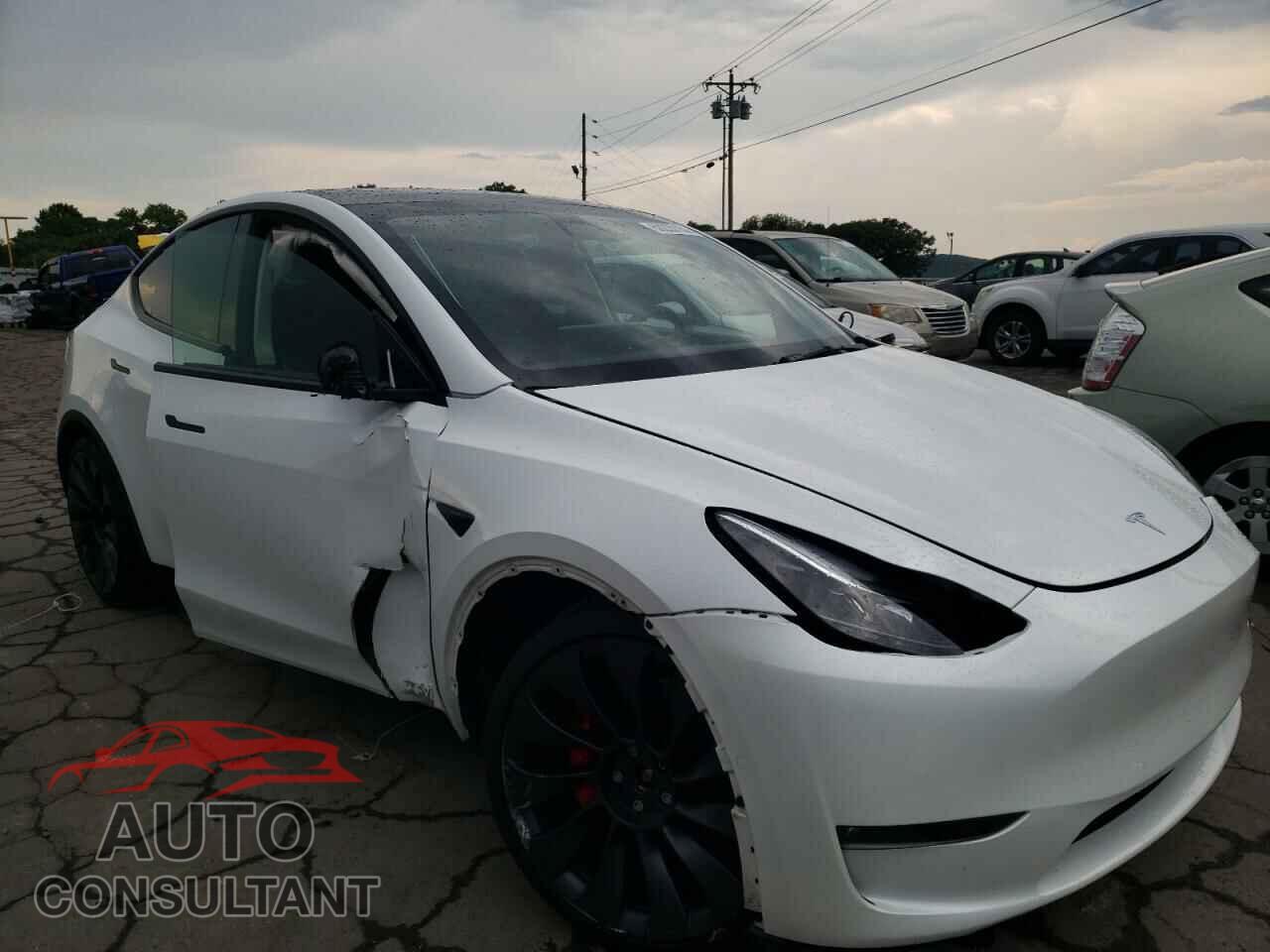 TESLA MODEL Y 2021 - 5YJYGDEF2MF124460