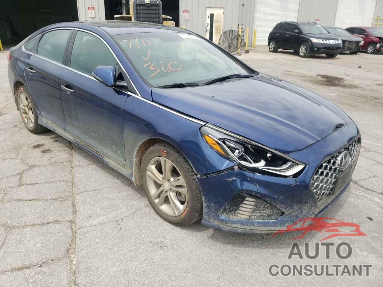 HYUNDAI SONATA 2019 - 5NPE34AF9KH810224