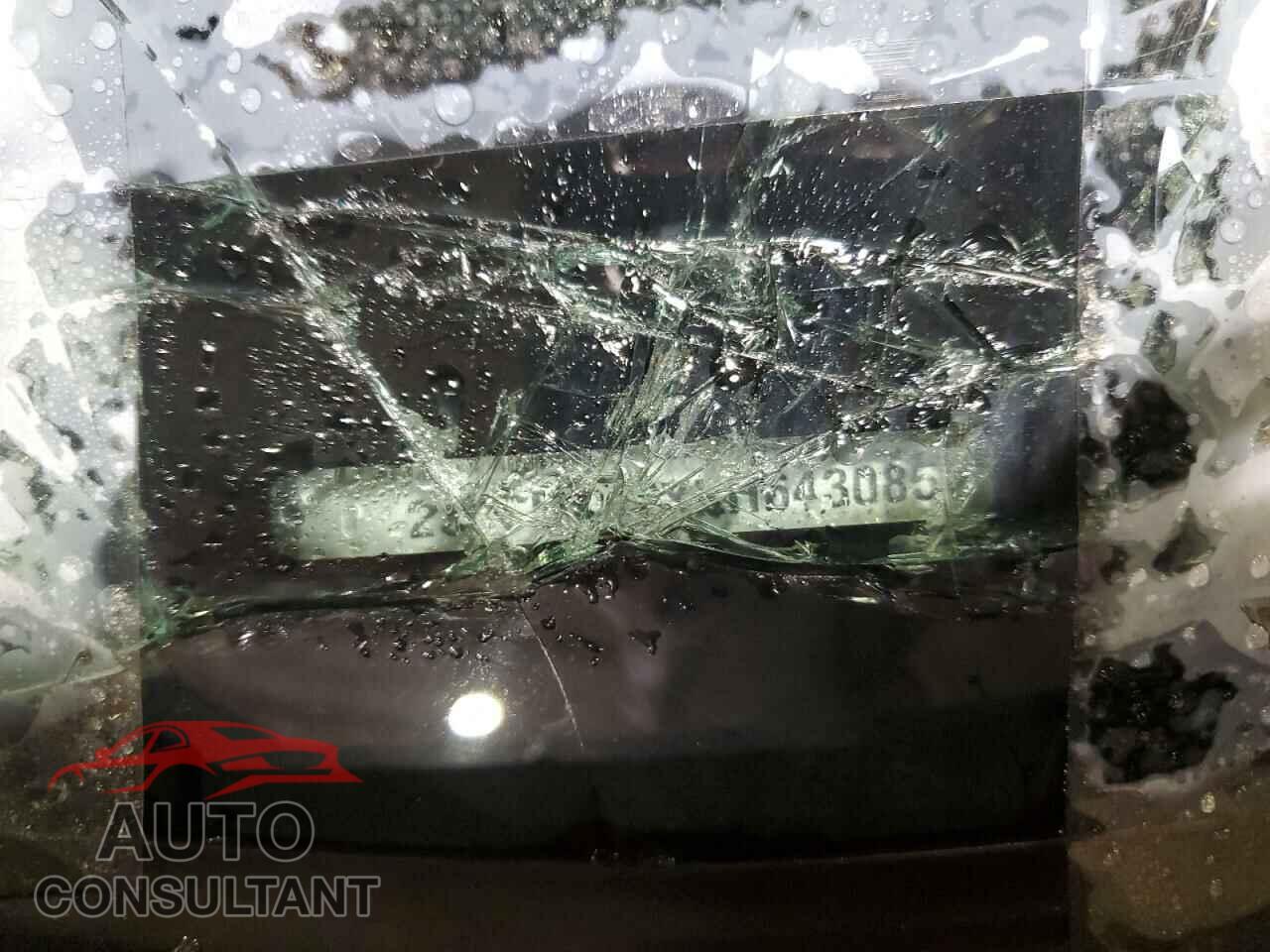 DODGE CHARGER 2019 - 2C3CDXCTXKH643085