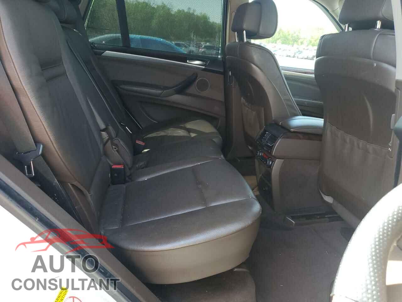 BMW X5 2009 - 5UXFE83519L308564