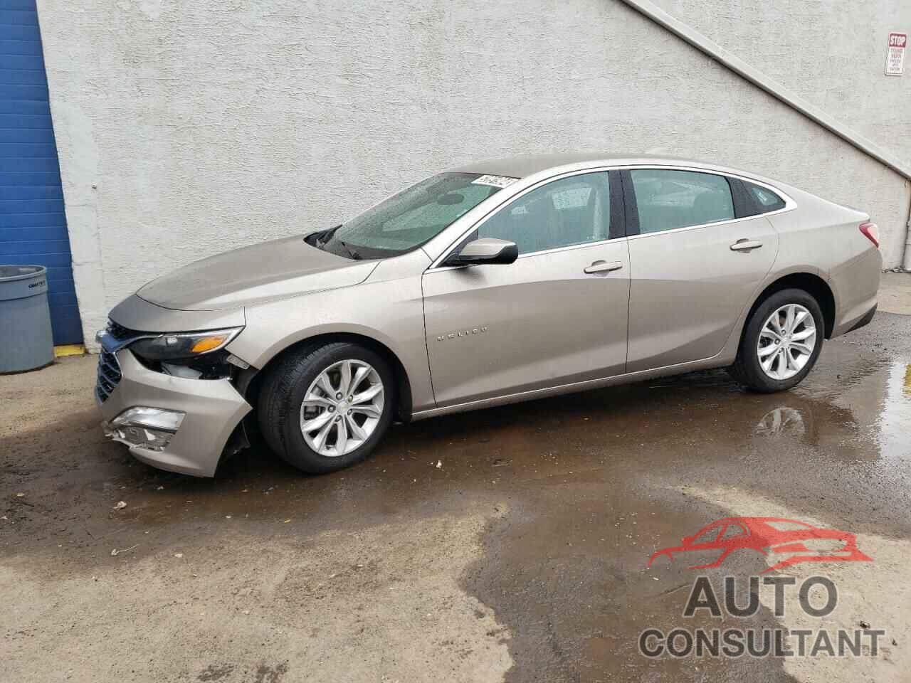 CHEVROLET MALIBU 2022 - 1G1ZD5STXNF166281