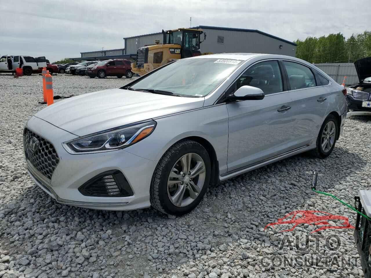 HYUNDAI SONATA 2019 - 5NPE34AF4KH797771