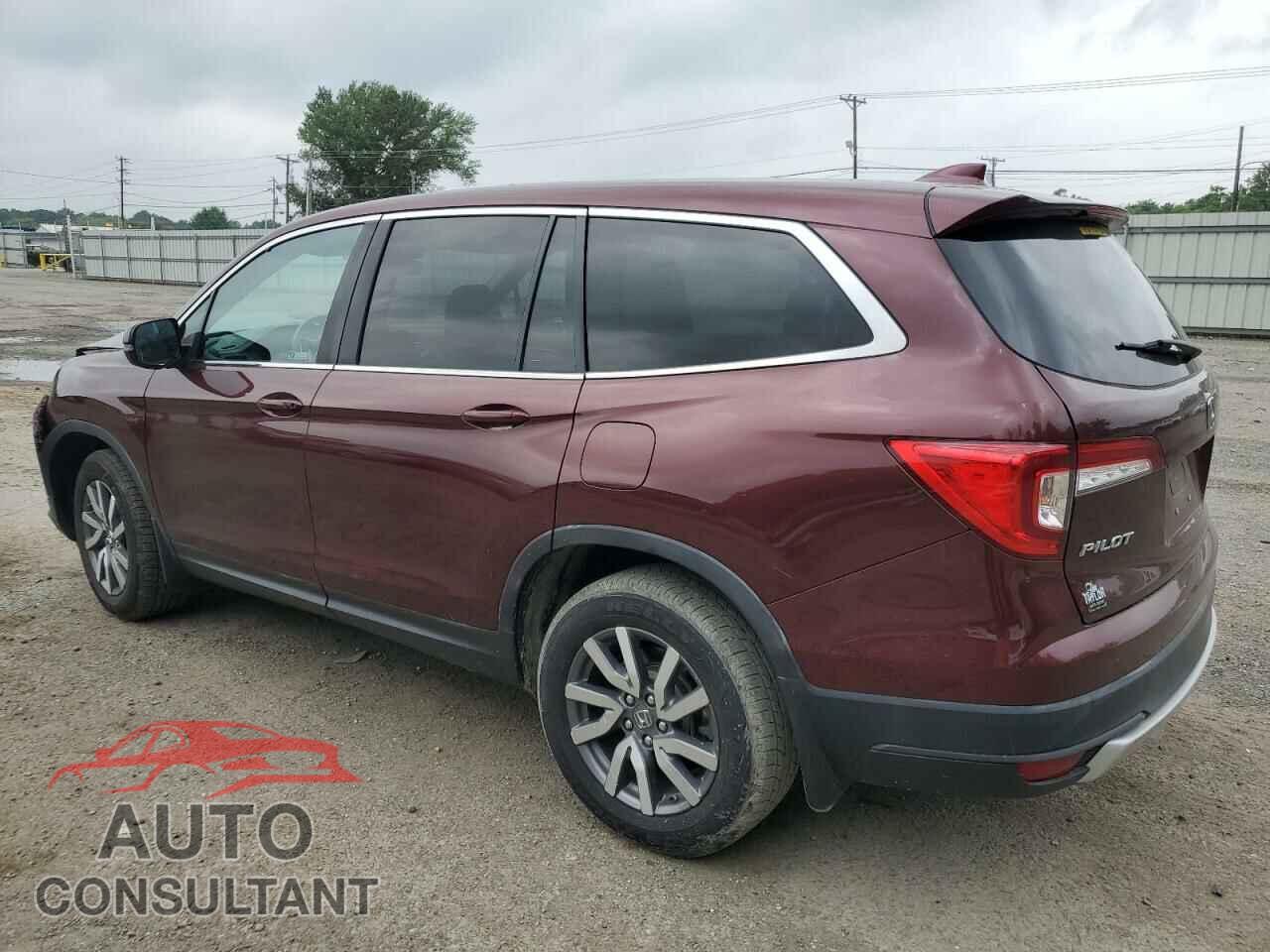 HONDA PILOT 2019 - 5FNYF5H55KB014687