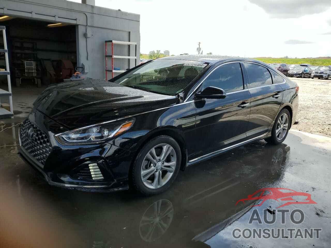 HYUNDAI SONATA 2019 - 5NPE34AF4KH821499