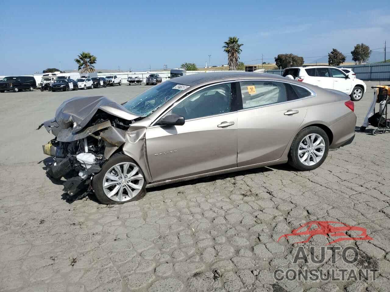 CHEVROLET MALIBU 2024 - 1G1ZD5ST6RF251236