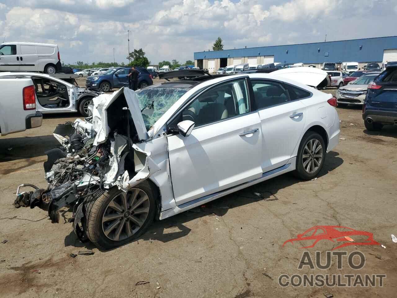 HYUNDAI SONATA 2016 - 5NPE34AF2GH355692