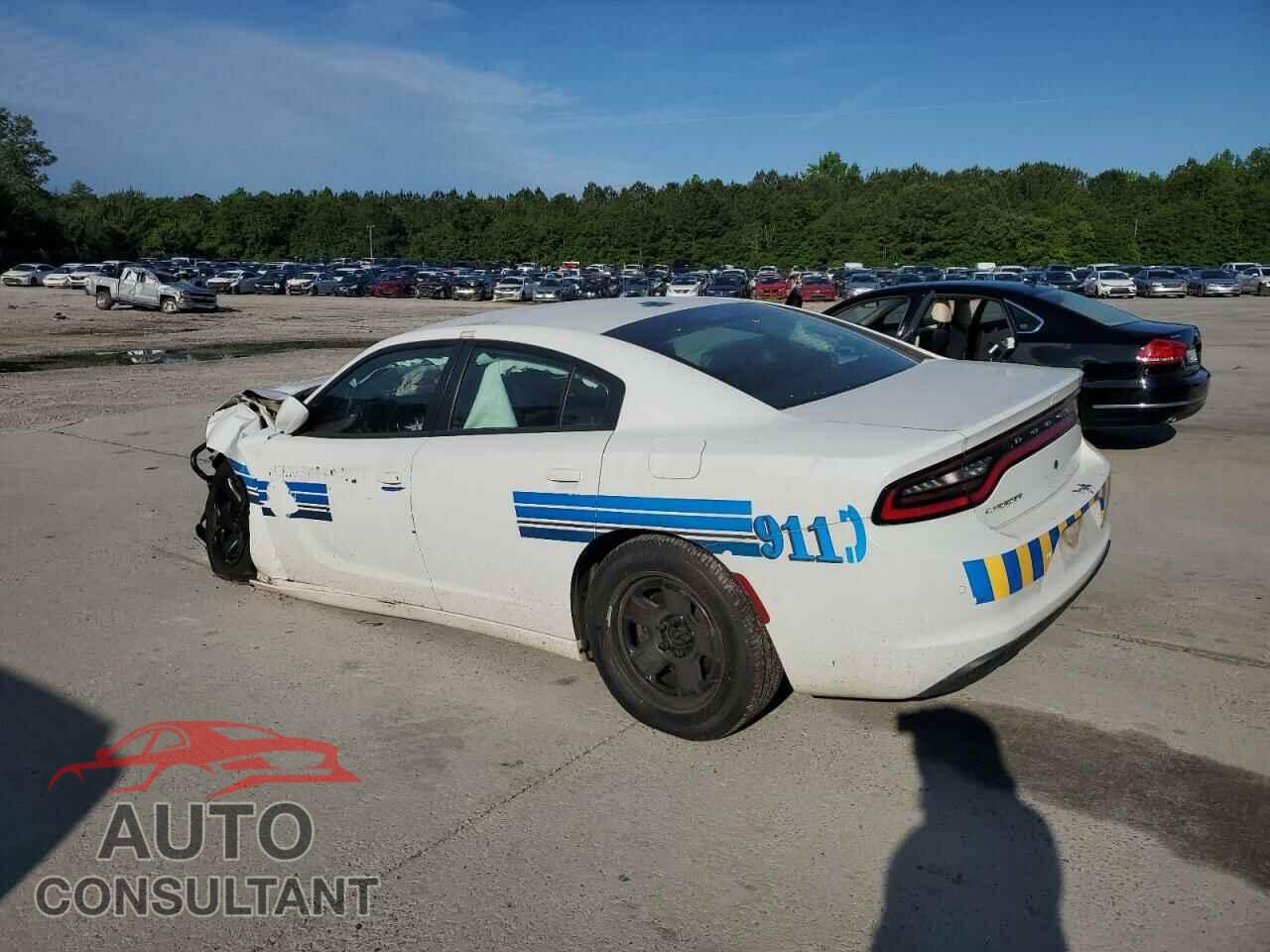 DODGE CHARGER 2019 - 2C3CDXAGXKH614062