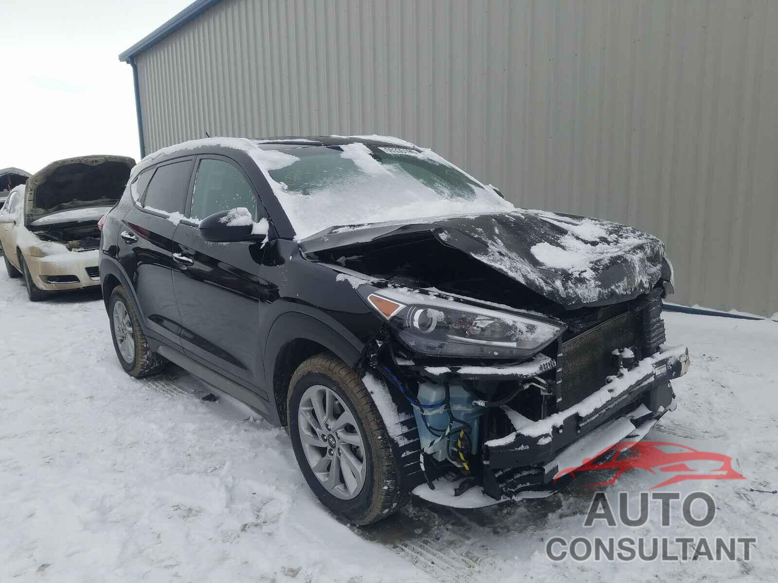 HYUNDAI TUCSON 2017 - KM8J3CA43HU296582