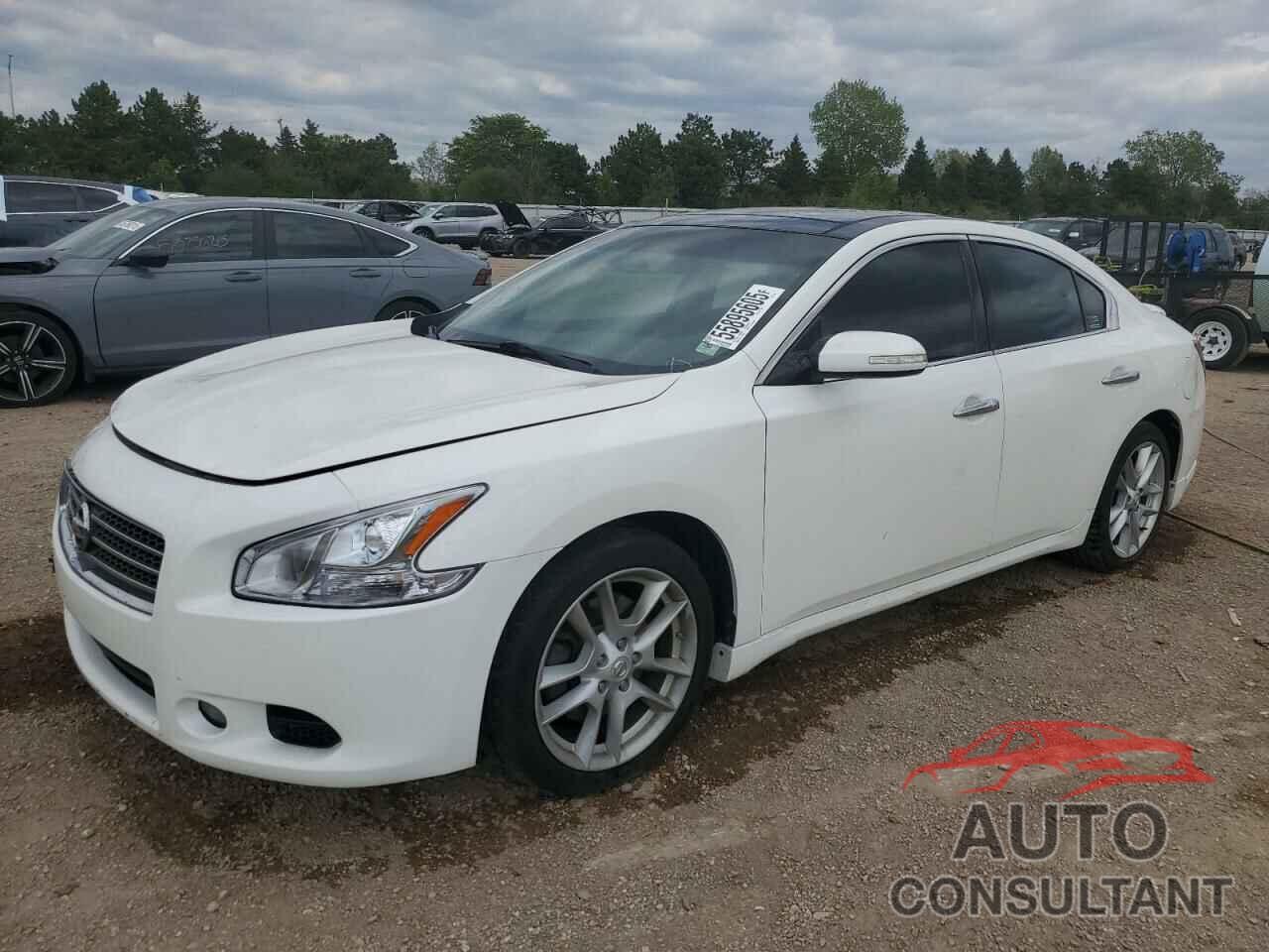 NISSAN MAXIMA 2010 - 1N4AA5AP5AC864719