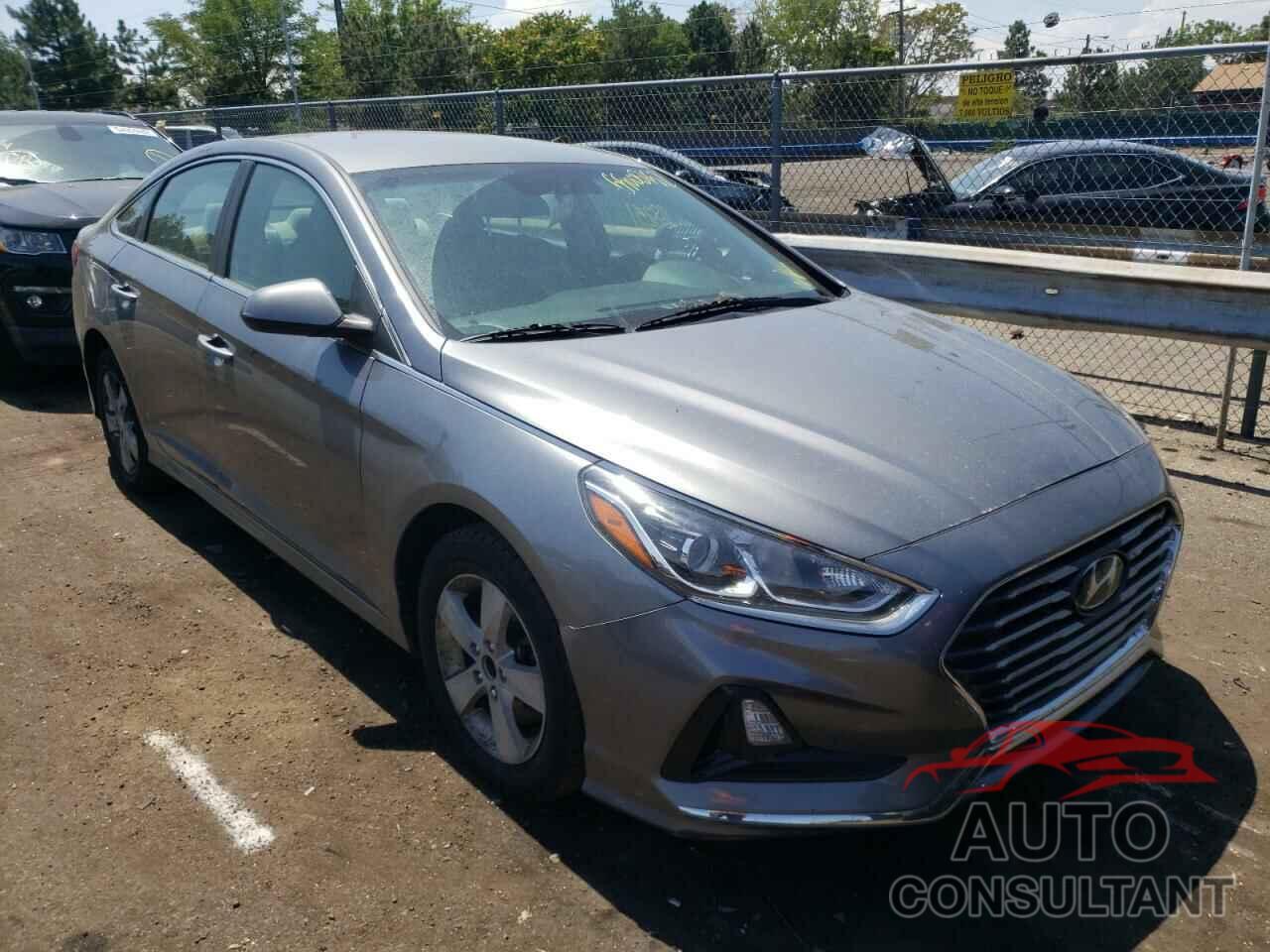 HYUNDAI SONATA 2019 - 5NPE24AF2KH768630
