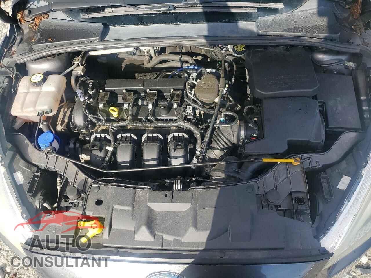 FORD FOCUS 2015 - 1FADP3K27FL328736