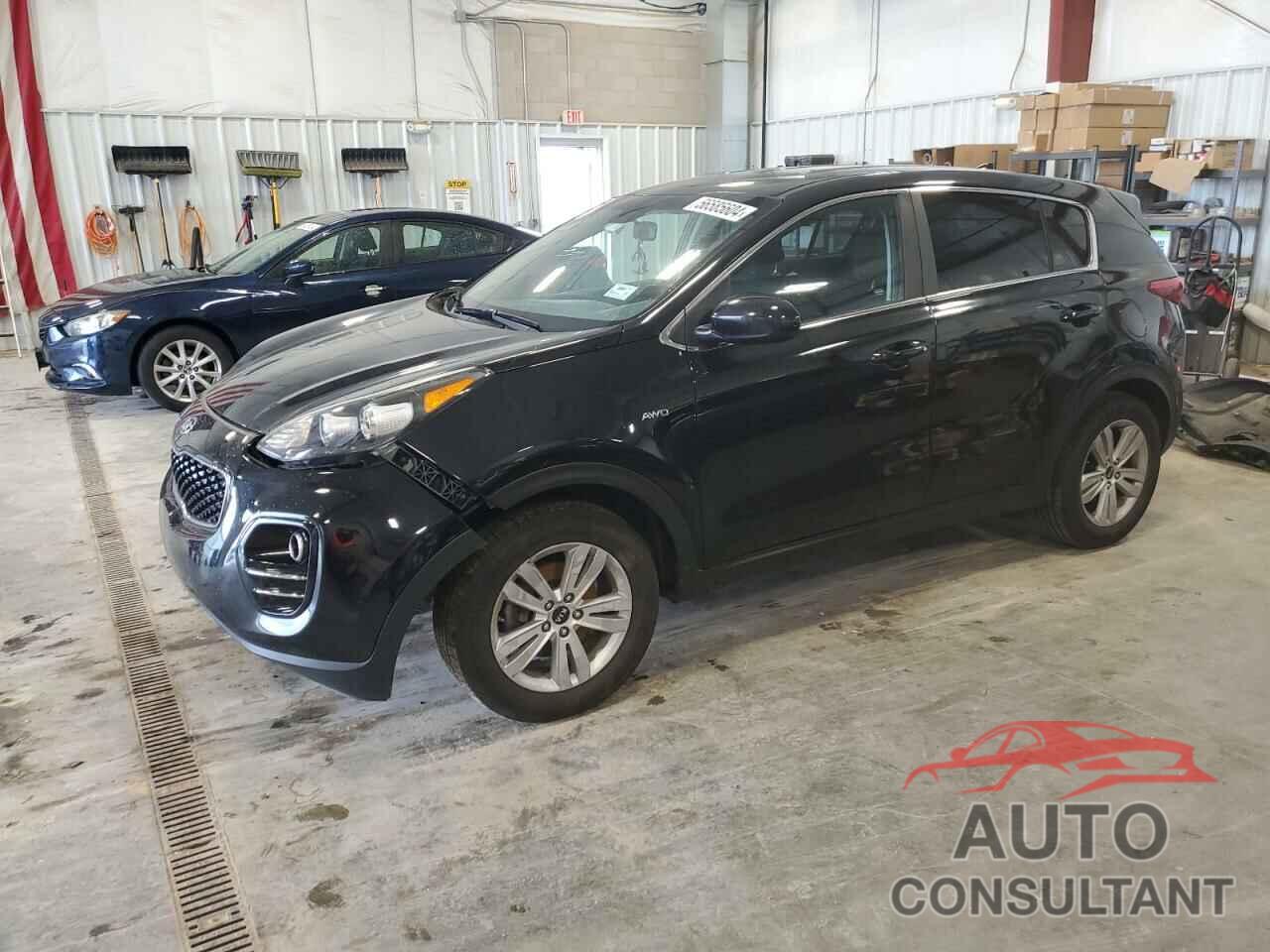 KIA SPORTAGE 2017 - KNDPMCAC8H7270481