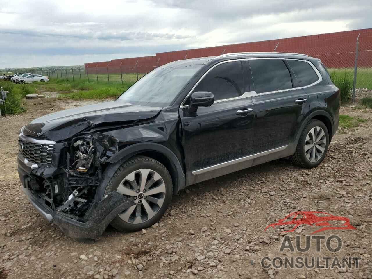 KIA TELLURIDE 2020 - 5XYP5DHCXLG051560