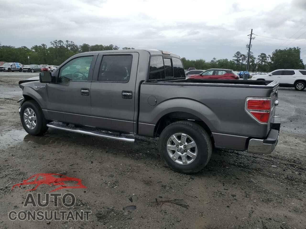 FORD F-150 2013 - 1FTFW1CF3DFD90867